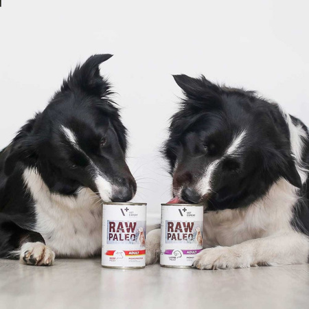 Vet Expert Raw Paleo Adult Monoprotein 24x800g Mokra Karma Dla Psa z Wołowiną