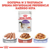 Mokra Karma Dla Kotów Sterylizowanych Royal Canin FHN Sterilised W Sosie 48x85g