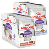 Royal Canin FHN Sterilised W Sosie i Galaretce 24x85g Mokra Karma Dla Kotów Sterylizowanych