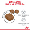 Royal Canin Dental 1,5kg Karma Sucha Dla Kotów Dorosłych Redukująca Odkładanie Kamienia Nazębnego