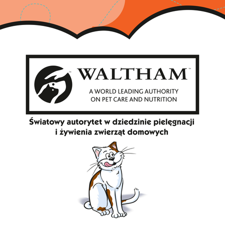 Dreamies z Pysznym Kurczakiem Mega Pack 5x180g Przysmaki dla kota