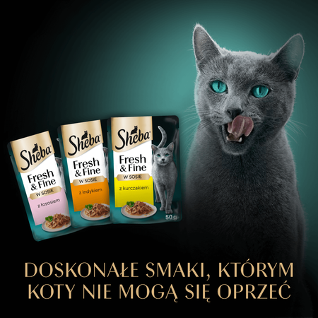 Sheba Fresh&Fine Saszetki 72x50g Mokra Karma W Sosie Dla Kotów Kurczak Łosoś Indyk