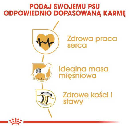 Royal Canin BHN Rottweiler Adult 12kg Karma Sucha Dla Psów Dorosłych Rasy Rottweiler