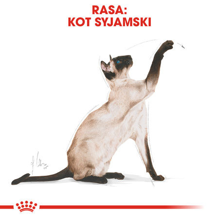 Royal Canin FBN Siamese Adult 2kg Karma Sucha Dla Kotów Dorosłych Rasy Syjamskiej