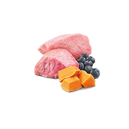 N&D Dog Lamb Pumpkin Blueberry 140g Psy dorosłe - jagnięcina, dynia i borówka