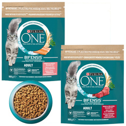 Purina One Bifensis Adult 2x800g Sucha Karma Dla Kota z Wołowiną Łososiem