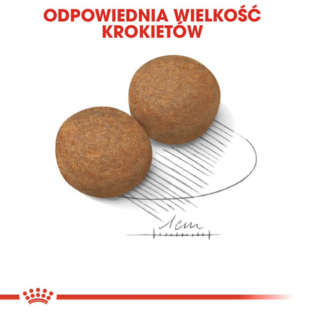 ROYAL CANIN Maxi Adult 2x15kg karma sucha dla psów dorosłych do 5 roku życia ras dużych