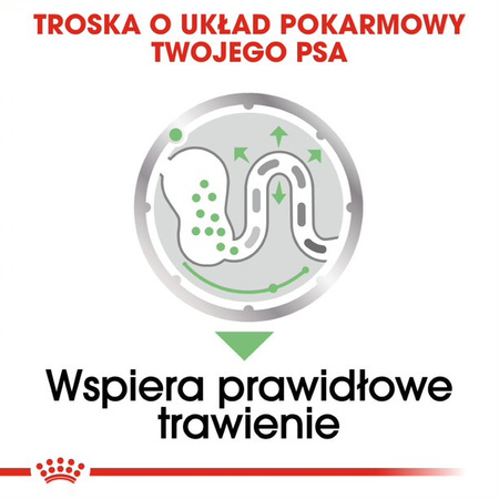 Royal Canin CCN Digestive Care 24x85g Karma Mokra Pasztet Dla Psów o Wrażliwym Przewodzie Pokarmowym