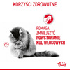 Royal Canin Hairball Care 24x85g Mokra Karma Dla Kotów Dorosłych w Sosie Eliminacja Kul Włosowych