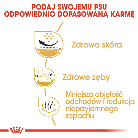 Royal Canin Adult Shih Tzu Sucha Karma Dla Psów 7,5kg + W Sosie Dla Małych Ras 12x85g