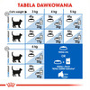Royal Canin Indoor 27 Adult 4kg Sucha Karma Dla Dorosłych Kotów Niewychodzących