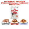 Royal Canin Instinctive FHN 24x85g Karma Mokra W Sosie i Galaretce Dla Kotów Dorosłych Wybrednych