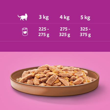 WHISKAS Adult 4 Smaki 24x400g Mokra Karma Dla Dorosłych Kotów (Kurczak Wołowina Tuńczyk Kaczka)