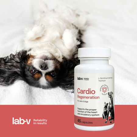 LAB-V Cardio Regeneration Suplement Dla Psów i Kotów 45 Kapsułek Wsparcie Prawidłowego Funkcjonowania Pracy Serca i Układu Krążenia
