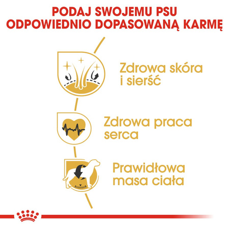 Royal Canin BHN Golden Retriever Adult 12kg Karma Sucha Dla Psów Dorosłych Rasy Golden Retriever