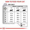 Royal Canin Feline Veterinary Dental 1,5kg Sucha Karma Dla Kotów Z Problemami Stomatologicznymi