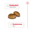 Royal Canin Adult Maxi BF 15kg Zbilansowana Sucha Karma Dla Psów Dużych Ras Do 5 Roku Życia