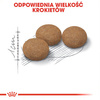 Royal Canin Ageing Sterilised +12 Senior 4kg Karma Sucha Dla Kotów Dojrzałych Sterylizowanych Powyżej 12 Roku Życia