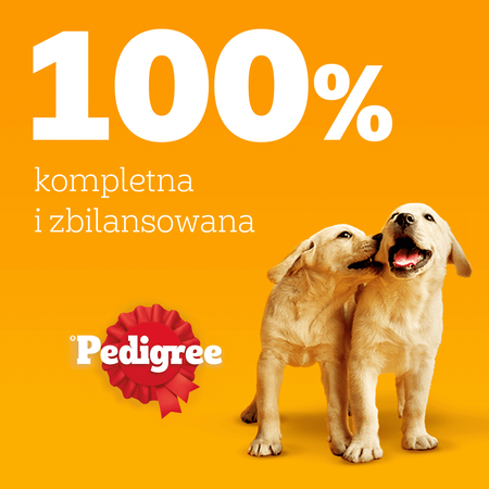 Pedigree Junior Saszetka 12x100g Mokra Karma W Galaretce Dla Psa Mix Czterech Smaków