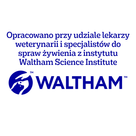 Pedigree Tasty Minis Chewy Cubes Z Kurczakiem 6*130g Przysmak dla psa 