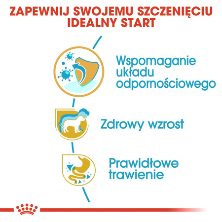 Royal Canin Puppy Jack Russell Terrier Sucha Karma Dla Szczeniąt 3kg + Mokra W Sosie 12x85g