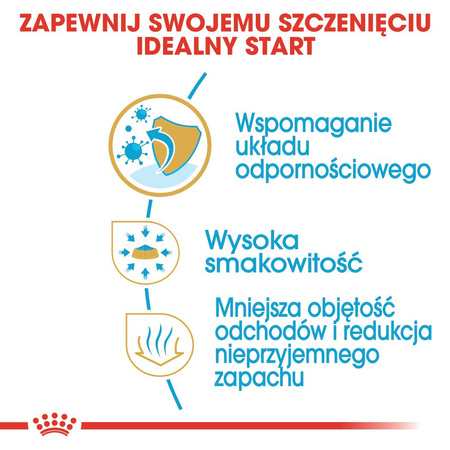 Royal Canin BHN Chihuahua Puppy 1,5kg Karma Sucha Dla Szczeniąt Do 10 Miesiąca Rasy Chihuahua