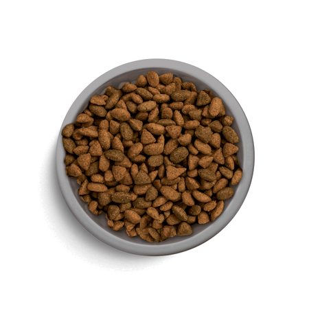 Perfect Fit Adult 1+ Sucha Karma Dla Kotów Dorosłych Z Wołowiną 7kg + GRATIS Dreamies Variety Snack Box 720g
