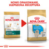 Royal Canin BHN Golden Retriever Puppy 3kg Karma Sucha Dla Szczeniąt Do 15 Miesiąca Rasy Golden Retriever