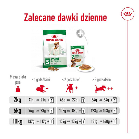 ROYAL CANIN Mini Adult 8kg karma sucha dla psów dorosłych, ras małych