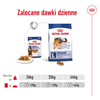 Royal Canin Maxi Adult 10x140g Karma Mokra W Sosie Dla Psów Dorosłych Ras Dużych