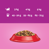 Whiskas Adult 300g Sucha Karma Pełnoporcjowa Dla Dorosłych Kotów Z Wołowiną