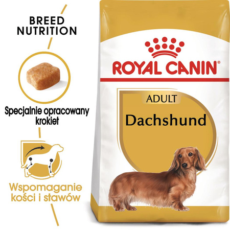 Royal Canin BHN Dachshund Adult 1,5kg Karma Sucha Dla Psów Dorosłych Rasy Jamnik