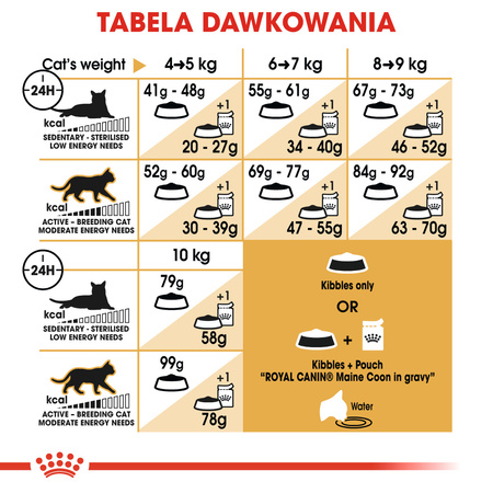 Royal Canin FBN Maine Coon Adult 10kg Karma Sucha Dla Kotów Dorosłych Rasy Maine Coon