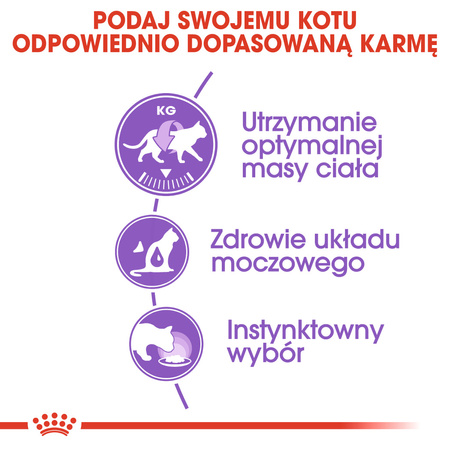 Royal Canin FHN Sterilised W Galaretce Mokra Karma Dla Kota 12x85g 
