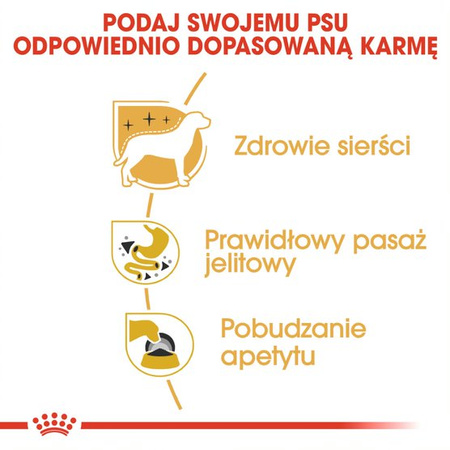 Royal Canin BHN Chihuahua Adult 12x85g Karma Mokra Pasztet Dla Psów Dorosłych Rasy Chihuahua