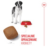 Royal Canin SHN Giant Junior 15kg Karma Sucha Dla Szczeniąt Od 8 Do 18/24 Miesiąca Życia Ras Olbrzymich