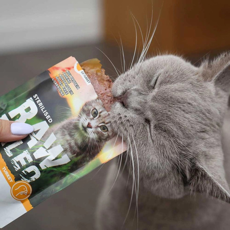 Vet Expert Raw Paleo Sterilised Turkey 24x100g Saszetka Karma Mokra z Indykiem Dla Kotów Sterylizowanych