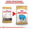 Royal Canin BHN Jack Russell Terrier Puppy 3kg Karma Sucha Dla Szczeniąt Do 10 Miesiąca Rasy Jack Russel Terrier