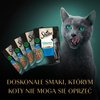 Sheba Saszetka 4x85g Delicacy in Jelly Smaki Drobiowe Mokra Karma Dla Kotów W Galaretce