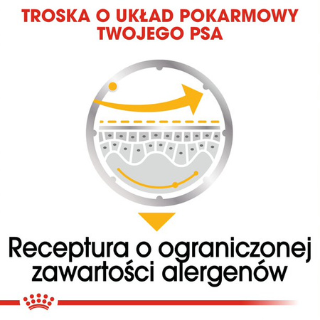 Royal Canin CCN Dermacomfort 85g Karma Mokra Pasztet Dla Psów Dorosłych O Wrażliwej Skórze Skłonnej Do Podrażnień