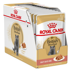 Royal Canin FBN British Shorthair Adult 12x85g Karma Mokra W Sosie Dla Kotów Dorosłych Rasy Brytyjski Krótkowłosy