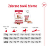 Royal Canin Medium Ageing 10+ 15kg Sucha Karma dla Psów Dojrzałych Powyżej 10 Roku Życia Średnich Ras