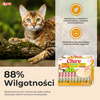 Inaba Cat Churu 100x14g Kremowy Przysmak Dla Kota Pasta Mix Z Kurczakiem i Tuńczykiem