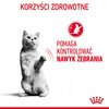 Royal Canin Appetite Control Care Karma Mokra W Galaretce Dla Kotów Domagających Się Jedzenia 24x85g