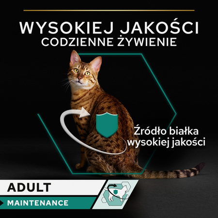Purina Pro Plan Adult Maintenance 48x85g Mokra Karma Dla Kota Wilgotny Pasztet z Kurczakiem