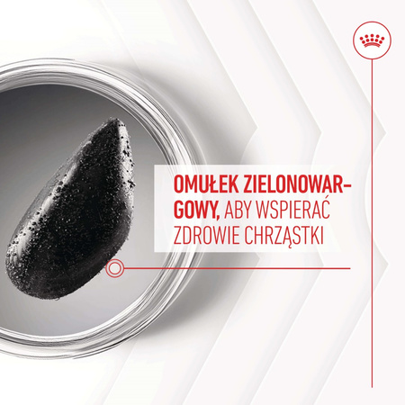 Royal Canin Supplements Dog Joint & Ageing 240g Suplementy Dla Psów Dorosłych W Postaci Przysmaków Wspierające Prawidłowe Funkcjonowanie Stawów