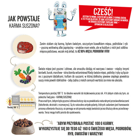 Dolina Noteci Premium 3kg Suszona Karma Dla Psów Wszystkich Ras Z Jagnięciną