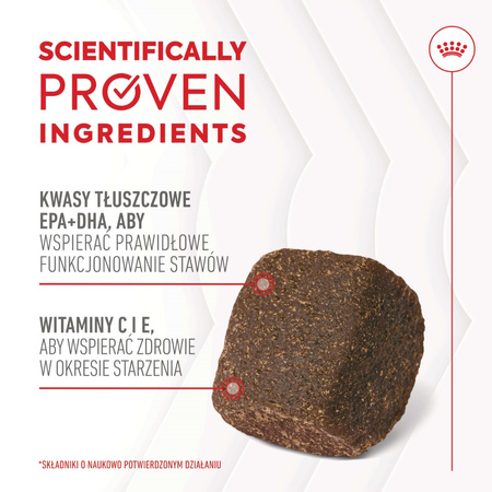 Royal Canin Supplements Dog Joint & Ageing 240g Suplementy Dla Psów Dorosłych W Postaci Przysmaków Wspierające Prawidłowe Funkcjonowanie Stawów