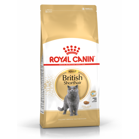 Royal Canin FBN British Shorthair 2kg Karma Sucha Dla Kotów Dorosłych Rasy Brytyjski Krótkowłosy