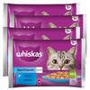 Whiskas Adult 4x340g Rybne Przysmaki Mokra Karma Dla Dorosłego Kota W Galaretce Kawałki Z Łososiem I Z Tuńczykiem